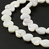 Natural Trochid Shell/Trochus Shell Beads Strands SHEL-F003-08A-6