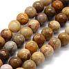 Natural Fossil Coral Beads Strands G-G763-12-6mm-5