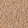 TOHO Round Seed Beads SEED-JPTR11-0751-2