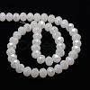 1 Strand Electroplate Opaque Solid Color Crystal Glass Rondelle Beads Strands X-EGLA-F047A-01AB-3