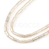 Electroplated Natural Freshwater Shell Beads Strands BSHE-G036-23-3