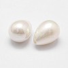 Rainbow Plated Shell Pearl Beads BSHE-L032-02-3