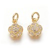 Brass Micro Pave Cubic Zirconia Charms ZIRC-J021-10G-RS-1