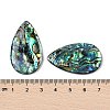 Natural Paua Shell Pendants SSHEL-I026-08B-3