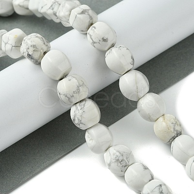 Natural Howlite Beads Strands G-H023-A16-01-1