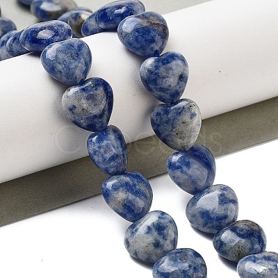 Natural Blue Spot Jasper Beads Strands G-B022-26C-1