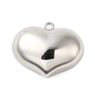 Non-Tarnish 304 Stainless Steel Pendants STAS-C094-02B-P-1