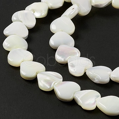 Natural Trochid Shell/Trochus Shell Beads Strands SHEL-F003-08A-1