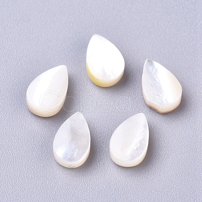 Natural Sea Shell Beads X-SSHEL-R038-20-1