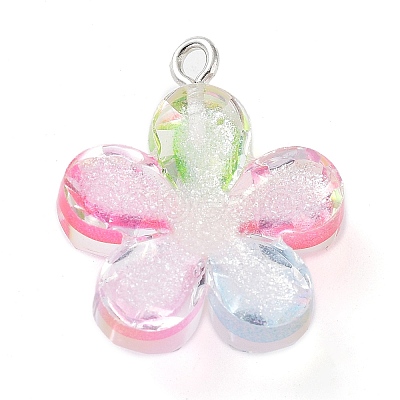 Translucent Resin Pendants RESI-Z014-02B-1