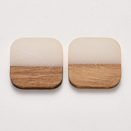 Resin & Walnut Wood Cabochons RESI-S384-010A-A01-1