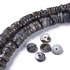 Natural Freshwater Shell Beads Strands BSHE-I016-04-5