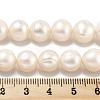 Natural Cultured Freshwater Pearl Beads Strands PEAR-C003-22B-5