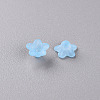 Transparent Acrylic Beads PL554-12-2