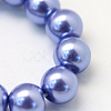 Baking Painted Pearlized Glass Pearl Round Bead Strands HY-Q003-12mm-09-3