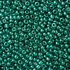 8/0 Glass Seed Beads SEED-A017-3mm-1118-2