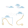Iron Earring Hooks IFIN-TA0001-21-9