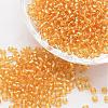 8/0 Transparent Glass Round Seed Beads X-SEED-J010-F8-22-1