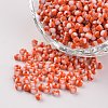 8/0 Opaque Colours Seep Glass Beads X-SEED-M007-11-1