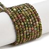 Natural Unakite Beads Strands G-H042-B25-01-1