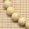 Natural Fossil Round Beads Strands X-G-I108-8mm-3