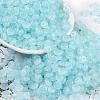 Transparent Colours Glass Seed Beads SEED-P008-01B-01-1