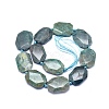 Natural Chrysocolla Beads Strands G-O170-85-2