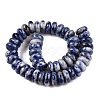 Natural Blue Spot Jasper Beads Strands G-T138-72-2