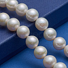 Natural Cultured Freshwater PearlBeads Strands PEAR-K004-46-6