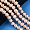 Natural Cultured Freshwater Pearl Beads Strands PEAR-N013-09A-2