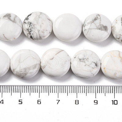 Natural Howlite Beads Strands G-C159-A01-01-1