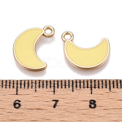 Rack Plating Alloy Enamel Charms ENAM-N056-341-1