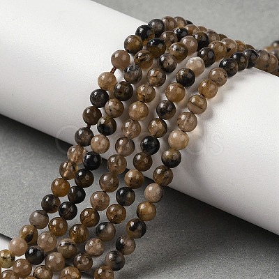 Natural Chiastolite Beads Strands G-Q161-A03-01-1