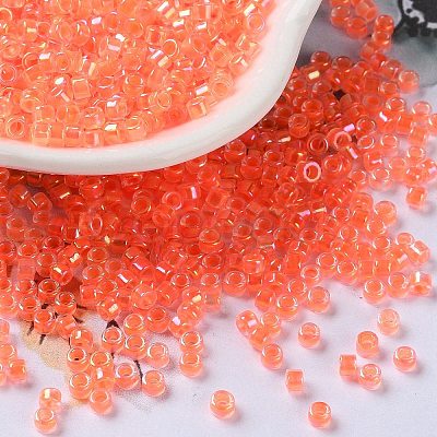 Glass Seed Beads X-SEED-S042-13A-06-1