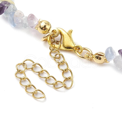 Natural Fluorite Anklets AJEW-AN00592-02-1