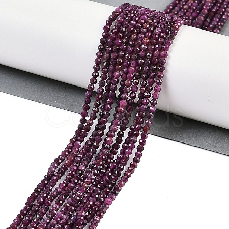 Natural Ruby Beads Strands G-P553-G01-02-1