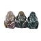 Natural Indian Agate Carved Frog Figurines, Reiki Stones for Home Office Desktop Feng Shui Ornament, 38x20x15mm