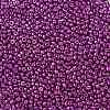 12/0 Glass Seed Beads SEED-A017-2mm-1116-2