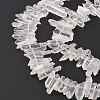 Natural Quartz Crystal Beads Strands G-F212-02-2