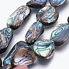 Natural Abalone Shell/Paua Shell Beads Strands SSHEL-P014-02-1