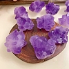 Natural Rough Raw Amethyst Display Decorations G-PW0007-157-4