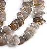 Natural Labradorite Chips Beads Strands G-D0002-A06-3