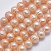 Natural Cultured Freshwater Pearl Beads Strands PEAR-F007-06A-01-1