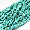 Dyed Natural Magnesite Chips Beads Strands G-L454-06-1