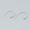 925 Sterling Silver Earring Hooks STER-T002-180S-2