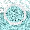 Baking Paint Glass Seed Beads SEED-T006-03G-1