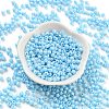 Baking Paint Glass Seed Beads SEED-A032-02L-2