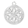 Non-Tarnish 201 Stainless Steel Pendants FIND-PW0004-29P-1