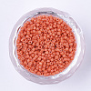 Baking Paint Cylinder Seed Beads SEED-Q036-02A-D13-2