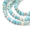 Natural Howlite Beads Strands G-H025-03D-09-4